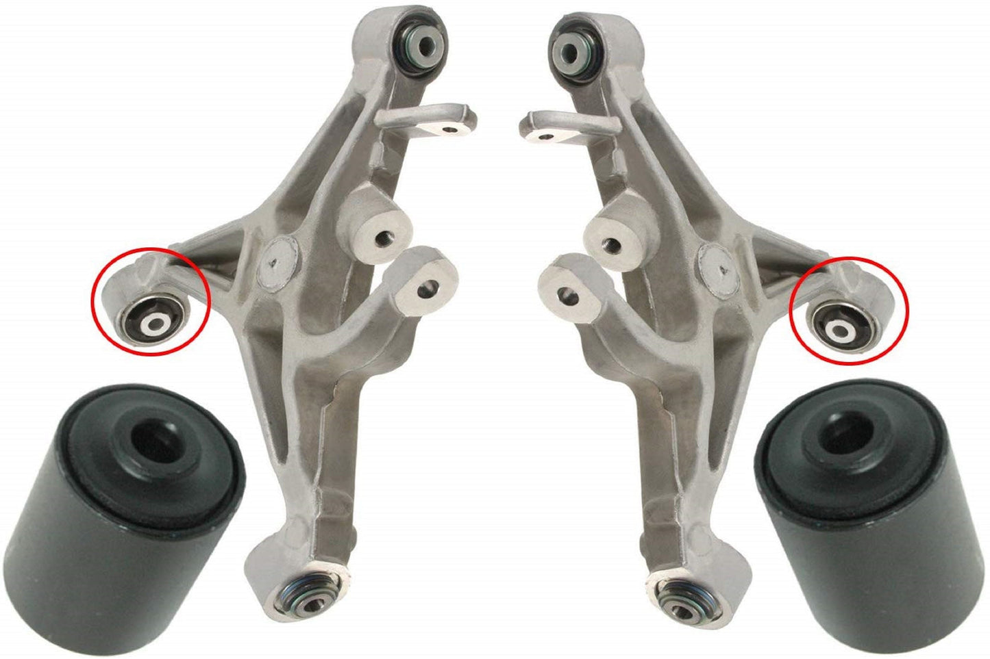 Rear Lower Control Arm Bushings