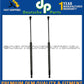 Hatch Lift Support Strut Struts PAIR 51248402405 for BMW E53 X5 2000-2006 L+R