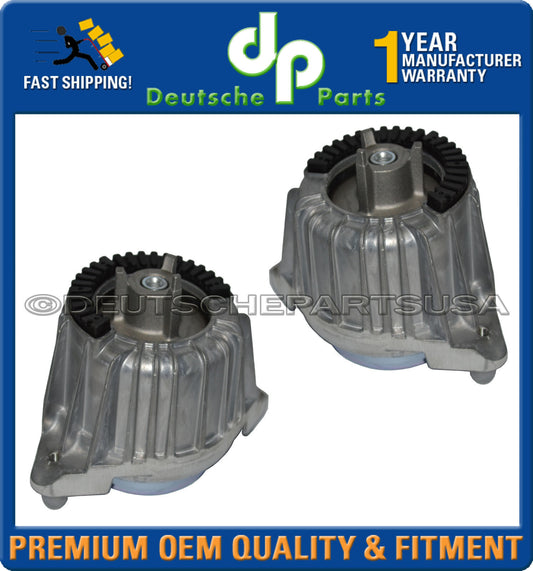 Mercedes W212 C250 1.8 HYDRO Engine Mount Mounts 2042404217 204 240 42 17 LR SET